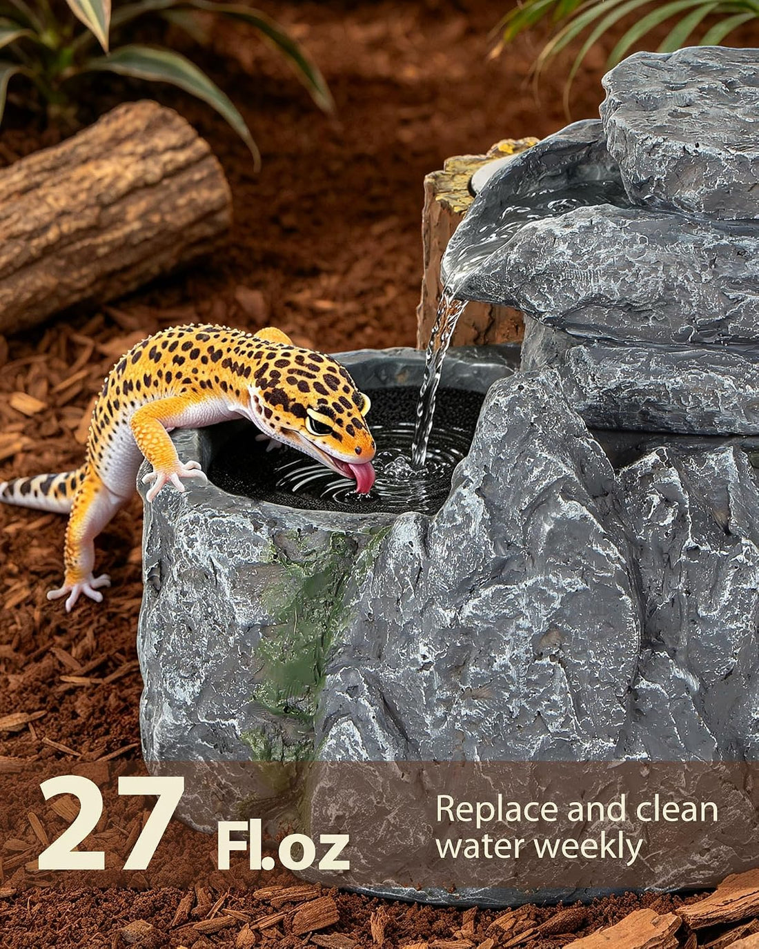 Bearded Dragon Water Fountain with 2 Stainless Steel Feeding Bowls