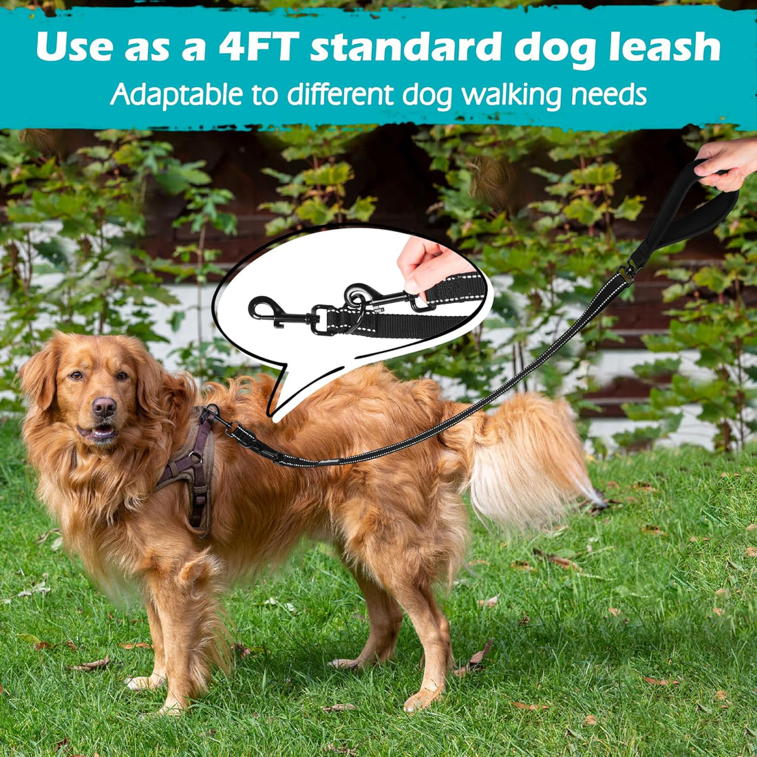 PetBonus Two Point Control Dog Leash, Works with No Pull Harnesses