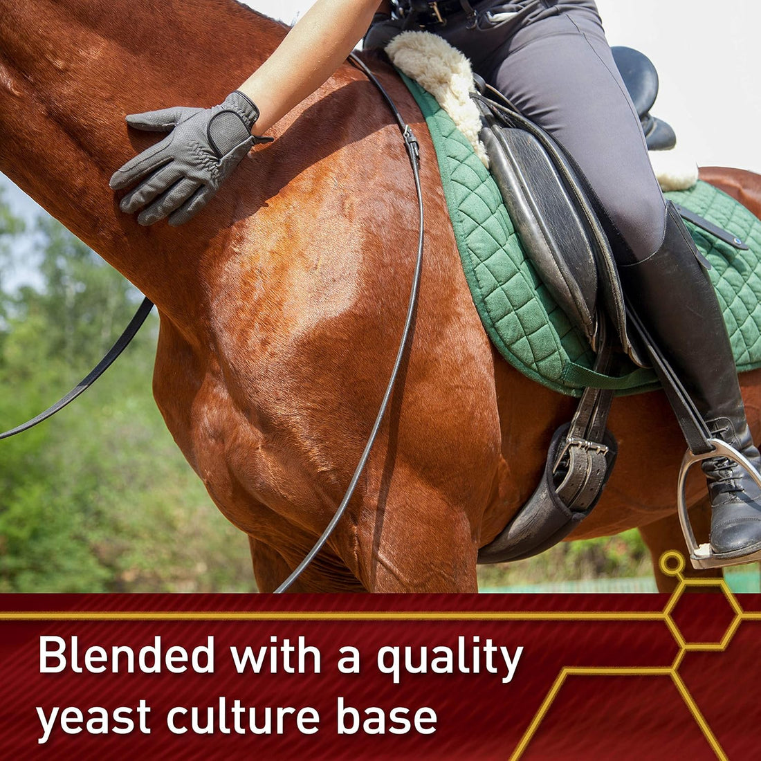 Vita Flex Pro E & Selenium Supplement for Horses, 64-Day Supply