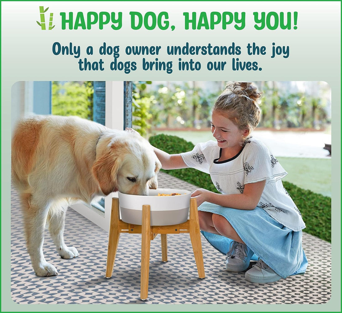 Dog Bowl Stand - Ideal for Large Breeds, Use to Elevate