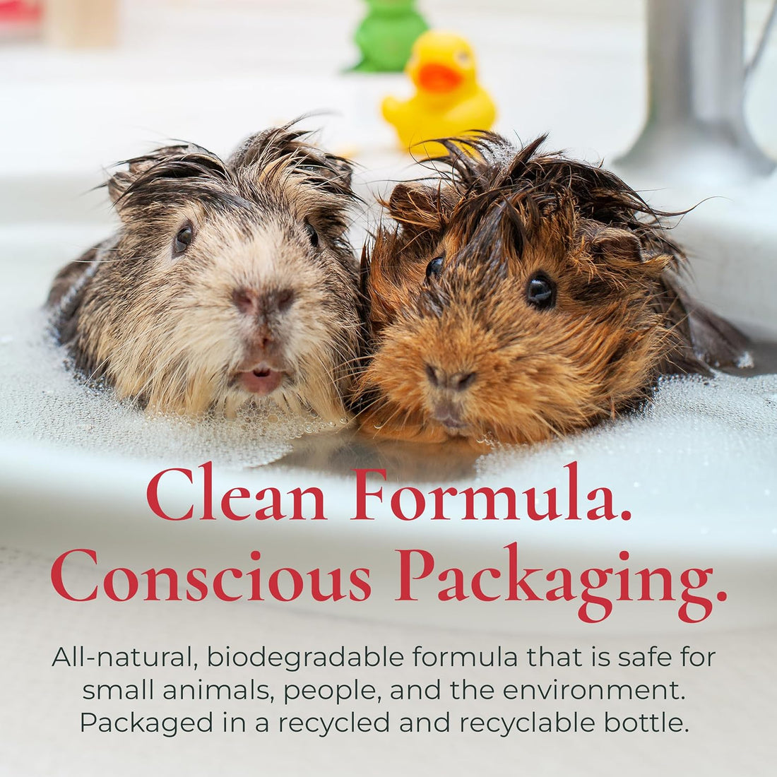 J.R.LIGGETT'S Liquid Small Animal Shampoo for Sensitive Skin 8.45 fl