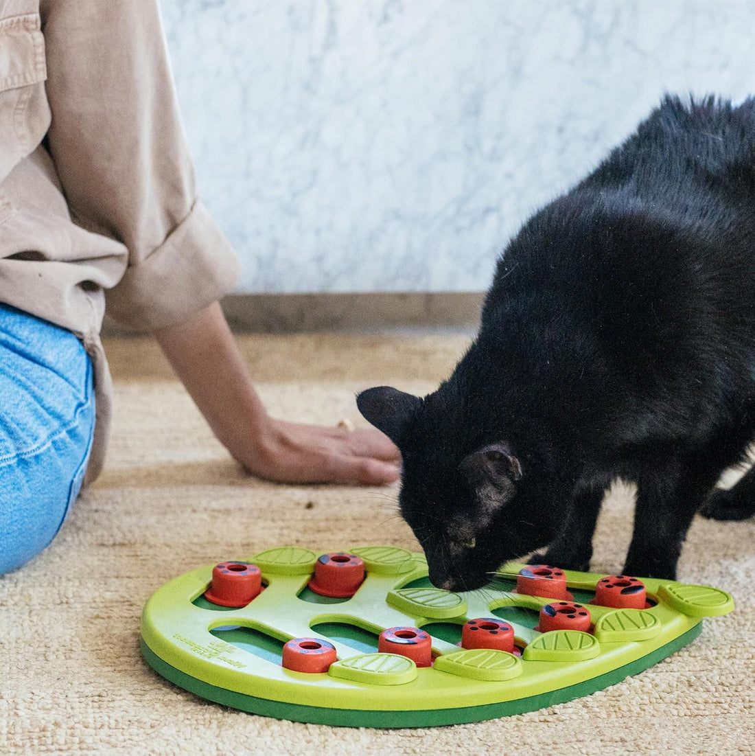 Catstages Nina Ottosson Buggin’ Out Puzzle & Play Cat Toy Treat Puzzle