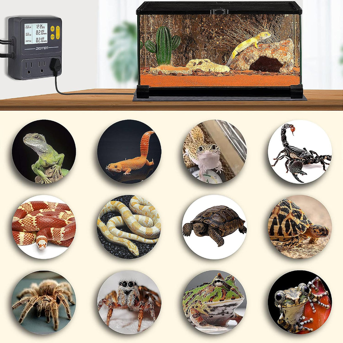 DIGITEN Day-Night Reptile Temperature Controller with Timer