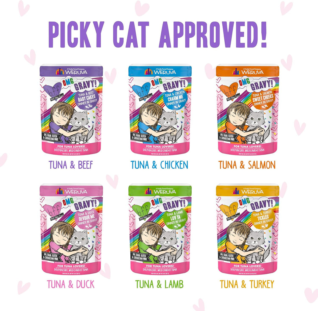 Weruva B.F.F. OMG - Best Feline Friend Oh My Gravy!