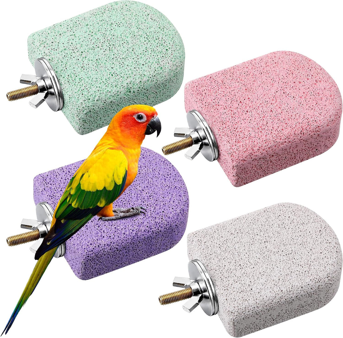 4 PCS Bird Beak Grinding Stone Pumice Lava Ledge