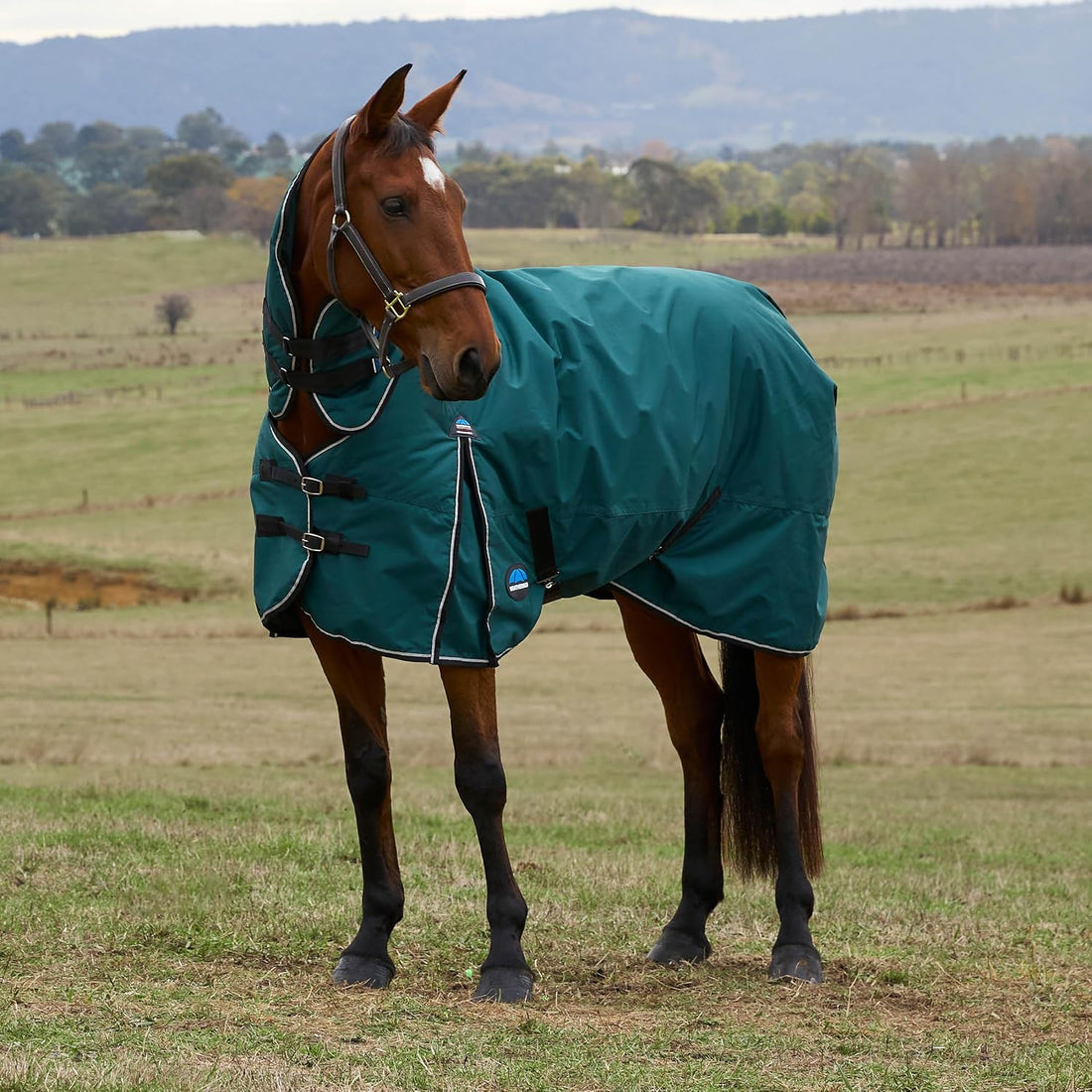WeatherBeeta ComFiTec Classic Turnout Combo 360g, Forest Green/Black