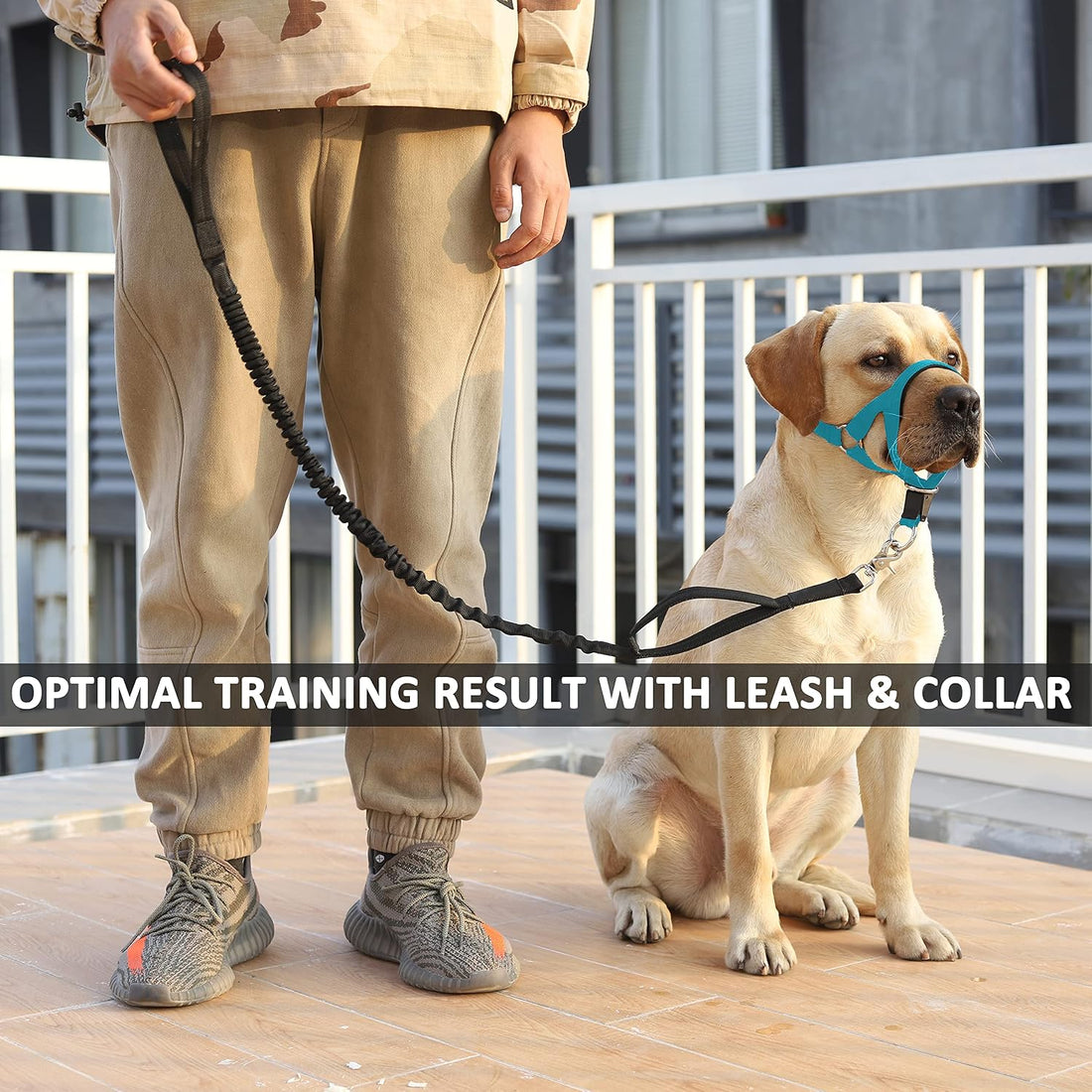 BARKLESS No-Pull Head Collar for Dogs Training & Walking Made Easy