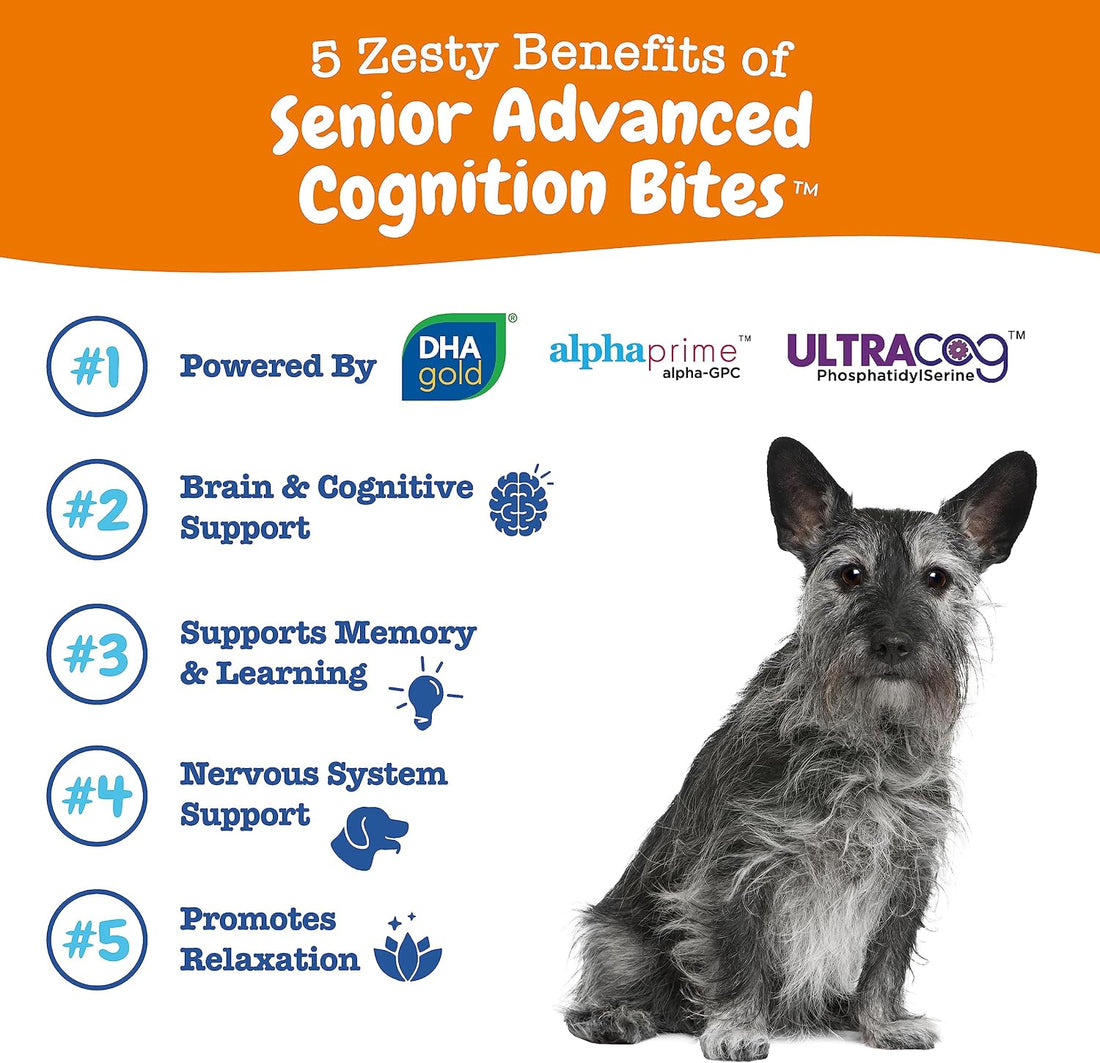 Zesty Paws Senior Dog Supplement - Cognition Chews, Chicken, 90 Ct