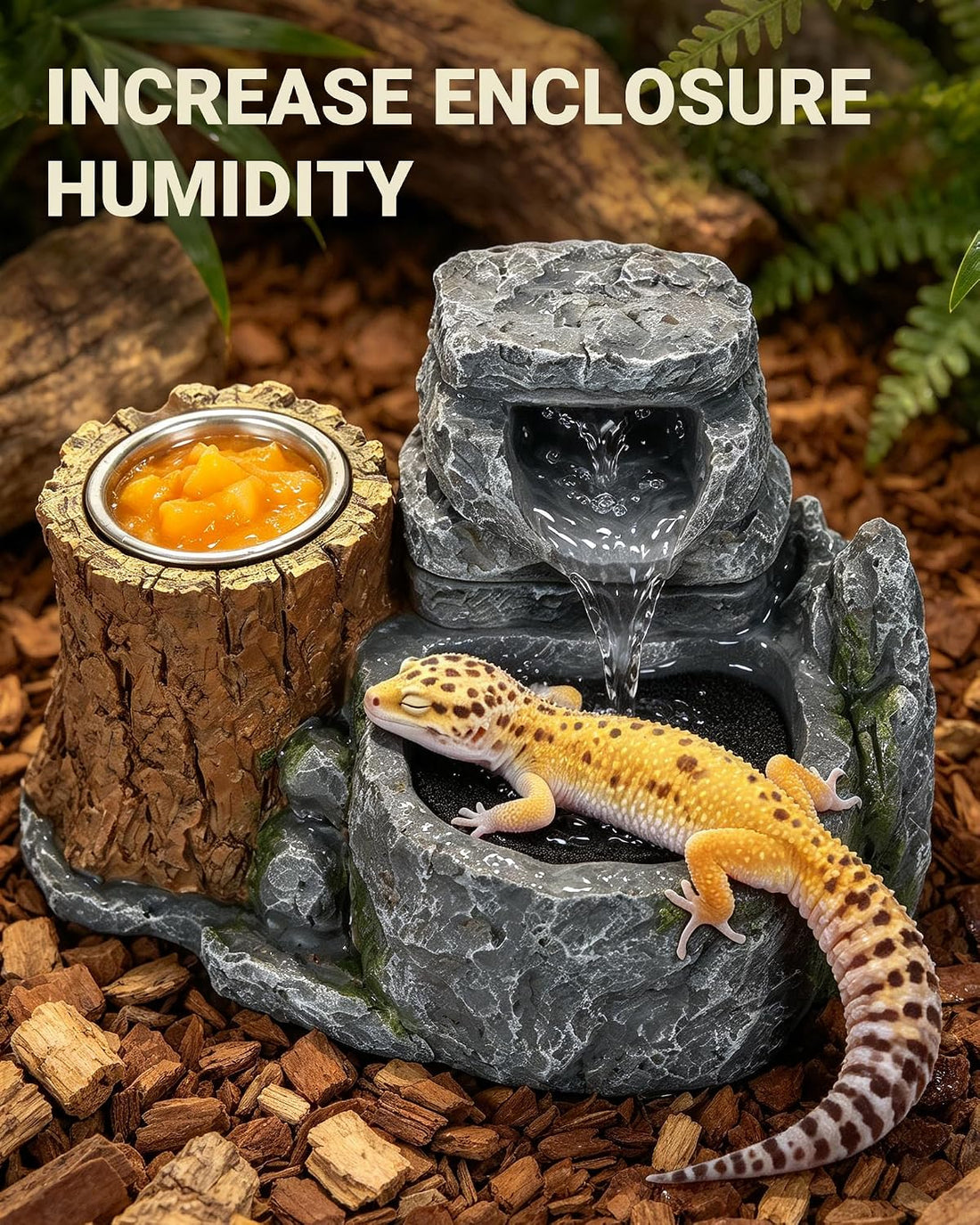 Bearded Dragon Water Fountain with 2 Stainless Steel Feeding Bowls