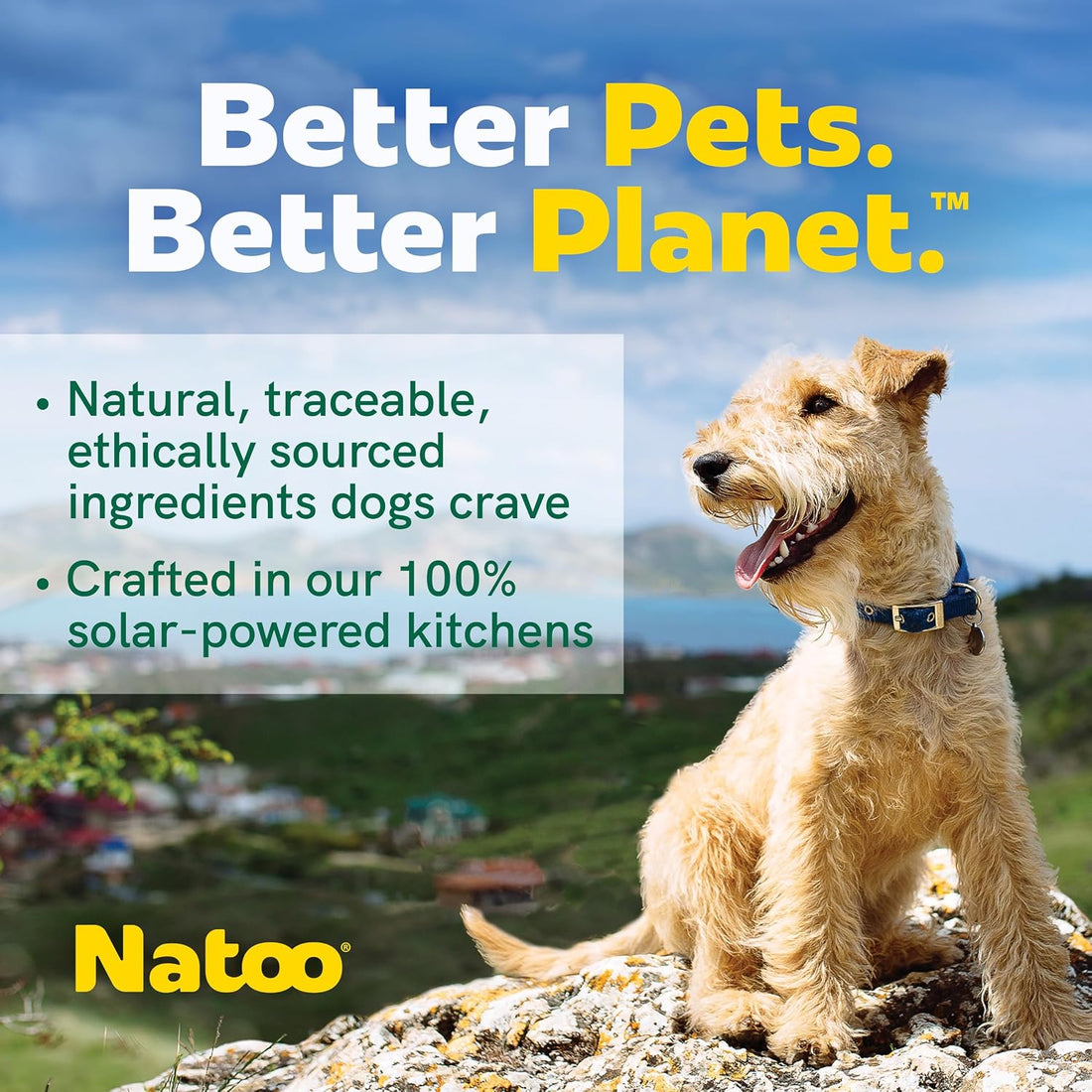 NATOO Dog Food Topper, Salmon with Brown Rice, 3 oz, Case of 20