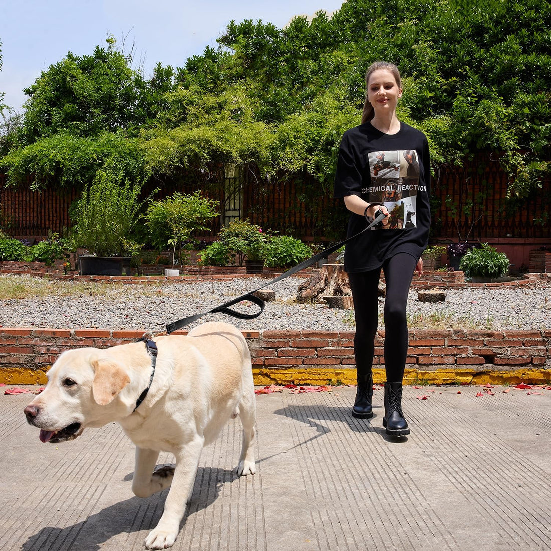 6 FT Black Nylon Reflective Dog Leash for Large Dogs with 2 Padded