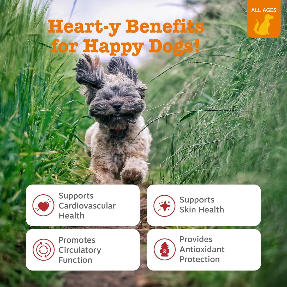 Zesty Paws Cardiovascular Support for Dogs - Taurine for Dogs