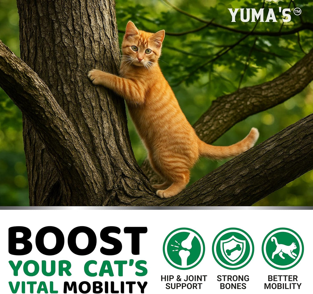 YUMA'S Cat Hip and Joint Health Supplement Chews