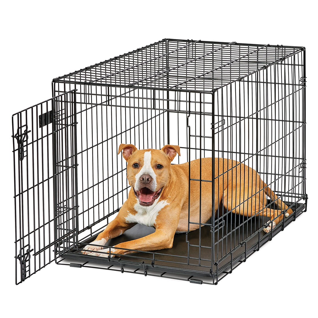 MidWest Homes for Pets Intermediate LifeStages Single Door 36-Inch