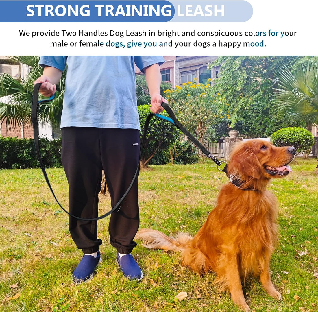 Strong Heavy Duty Dog Leash - 6ft Reflective Nylon Training Leash