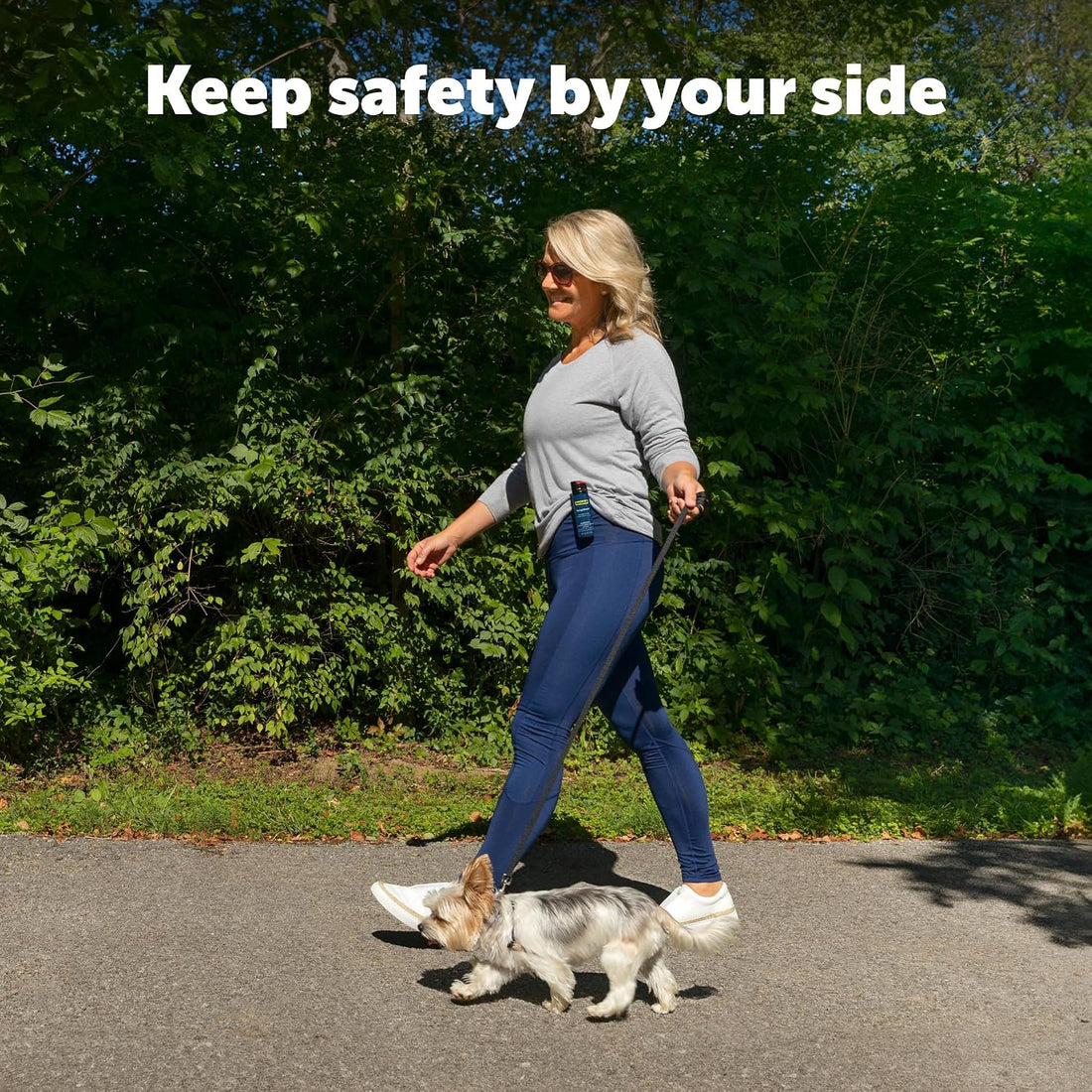 PetSafe SprayShield Animal Deterrent with Clip