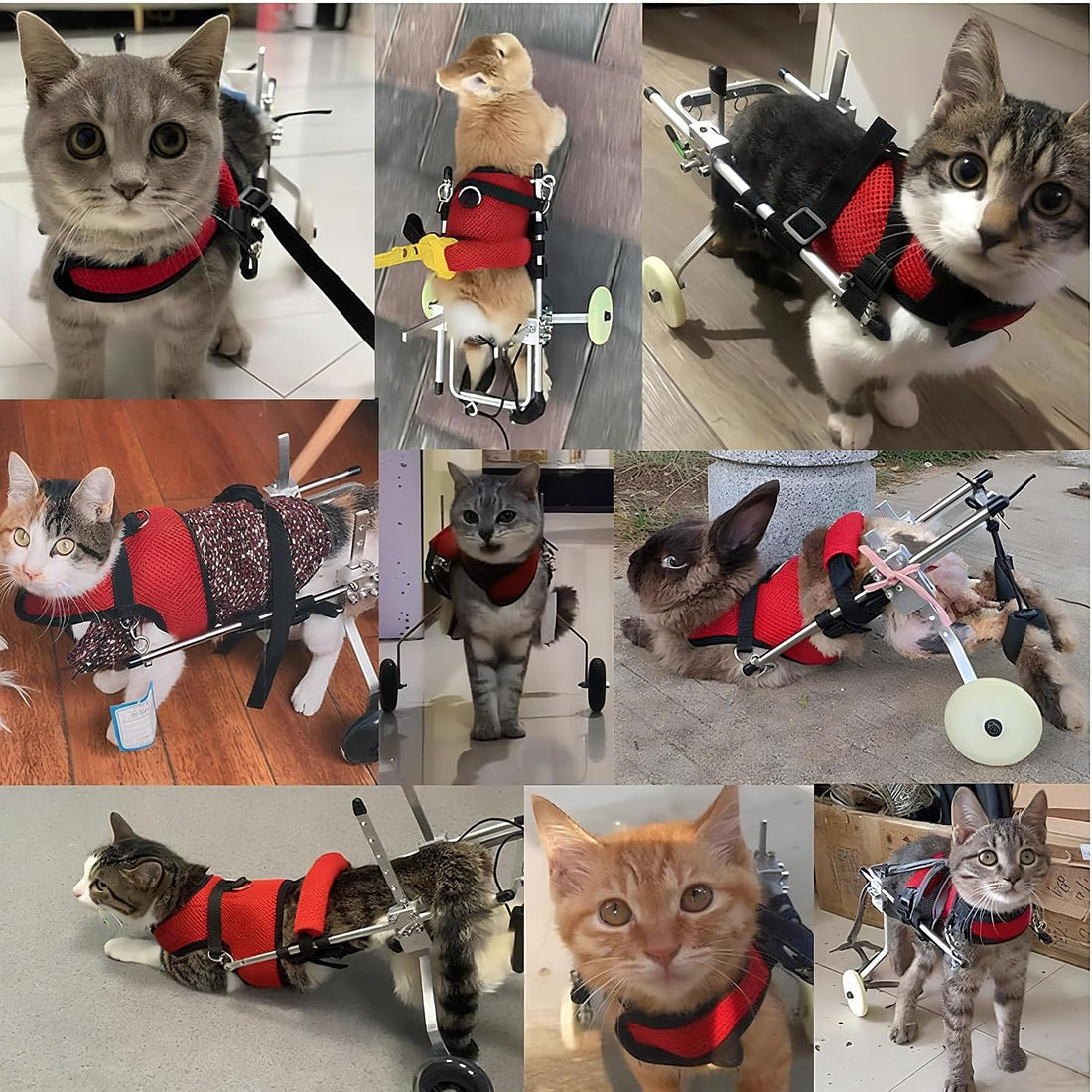 TOSPHU Cat Wheelchair Adjustable 2 Wheels Pet Wheelchair Lightweight