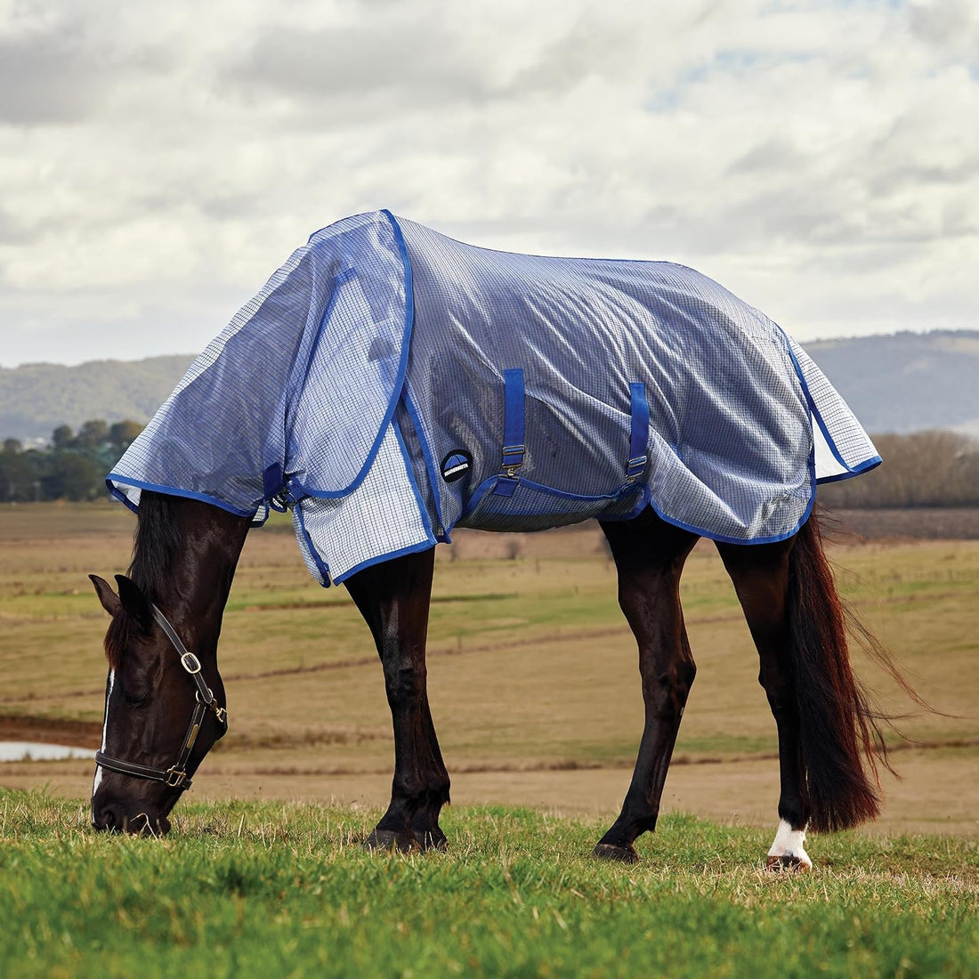 WeatherBeeta ComFiTec Ripshield Fly Sheet Detach-A-Neck, White/Cobalt
