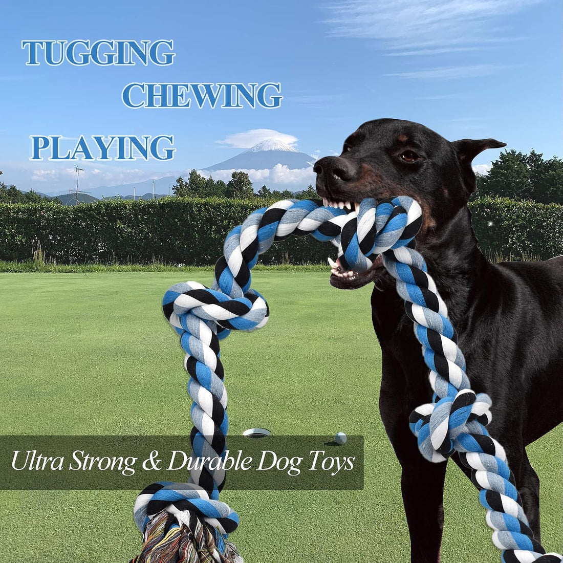 LECHONG Dog Toys for Aggressive Chewers Tough Rope Chew Toys
