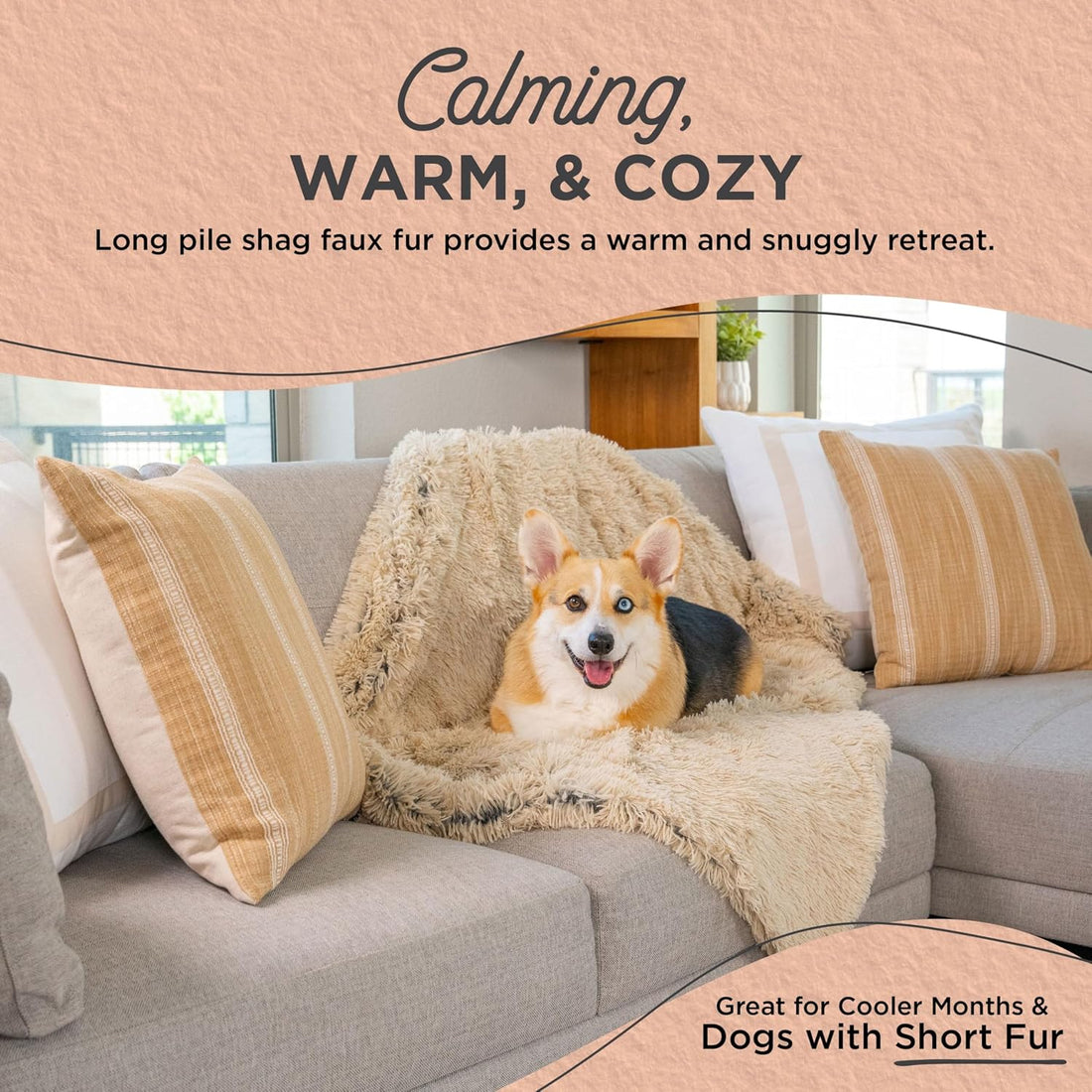 Best Friends by Sheri Calming Shag Dog Blanket