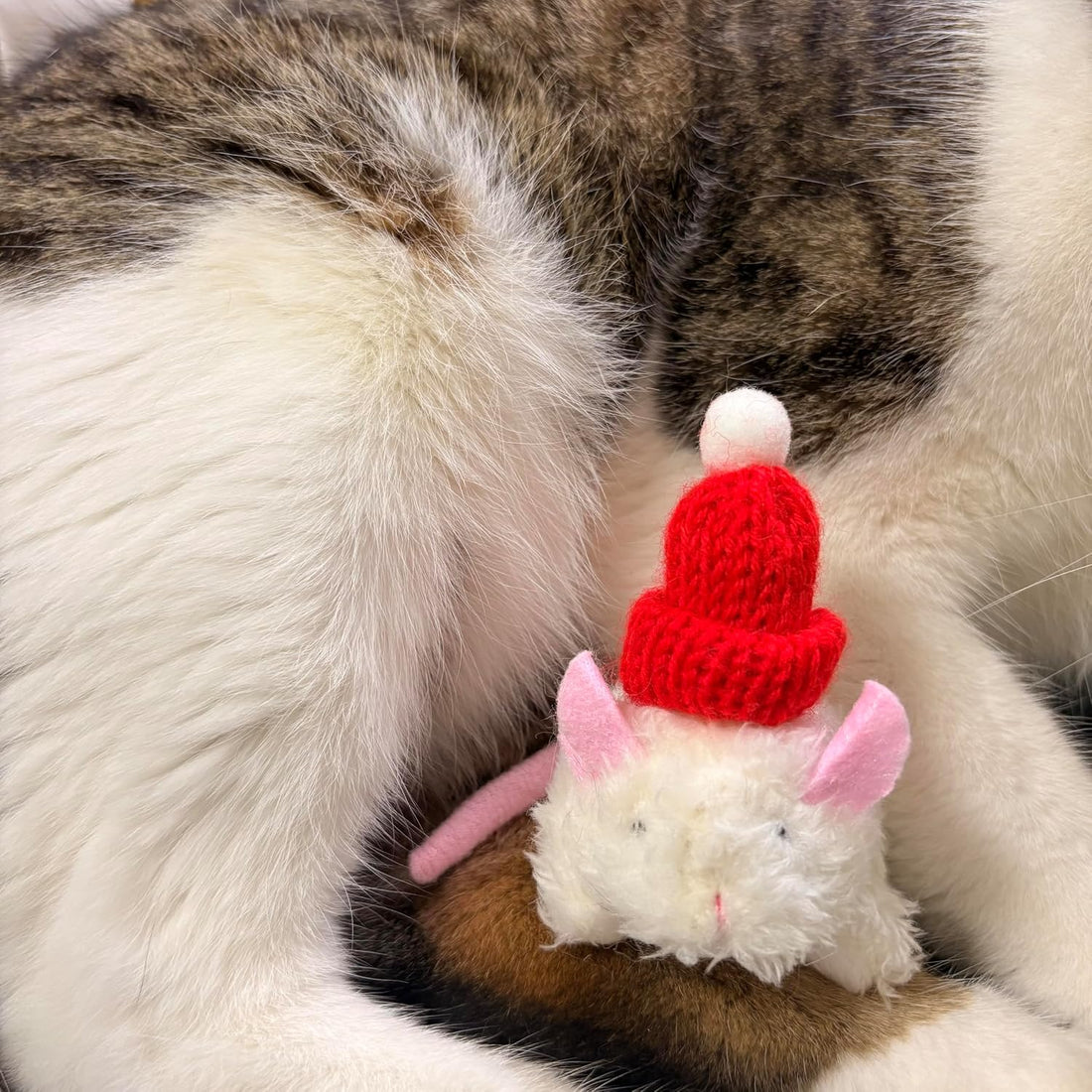 Plush Catnip Mice Toys with Rattle Sound- 2 Pcs Interactive Cat Toys