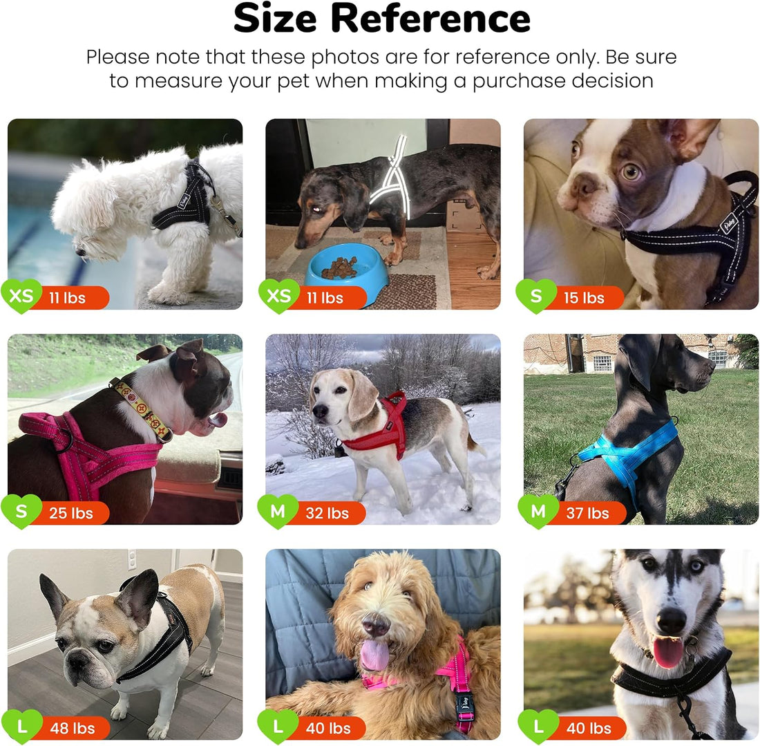 Didog No Pull Dog Harness for Small Dogs