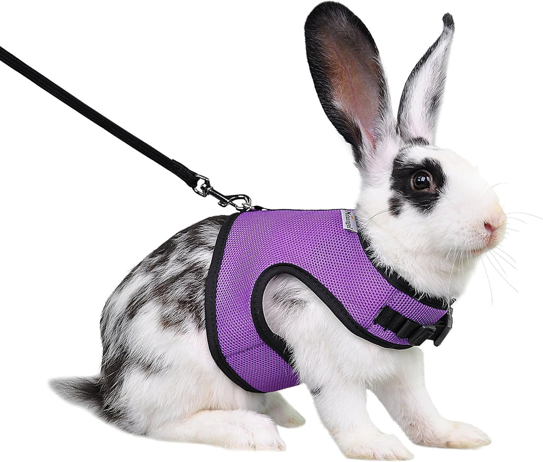 Niteangel Adjustable Soft Harness with Elastic Leash for Rabbits