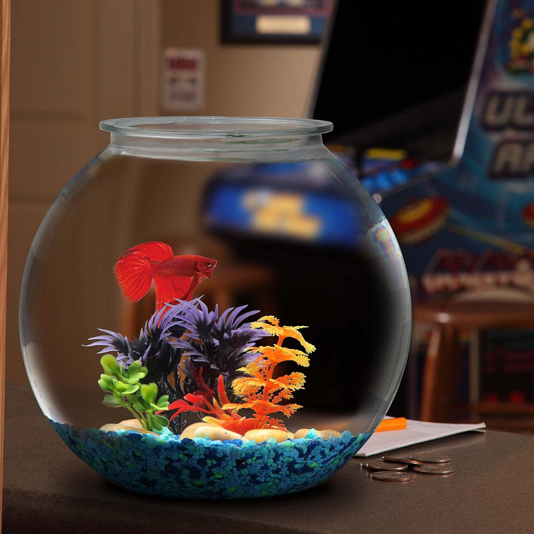 Koller Products 1-Gallon Plastic Round Fish Bowl