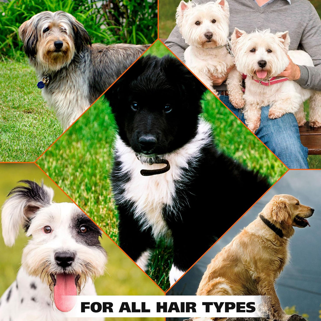 Wahl USA Pet Deodorant Spray