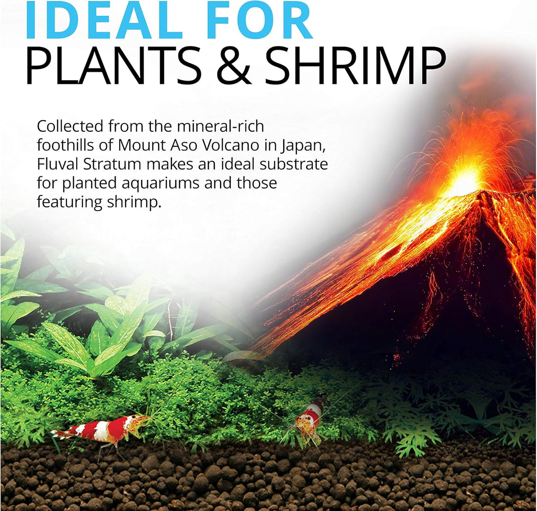 Fluval 12694 Plant and Shrimp Stratum for Freshwater Fish Tanks