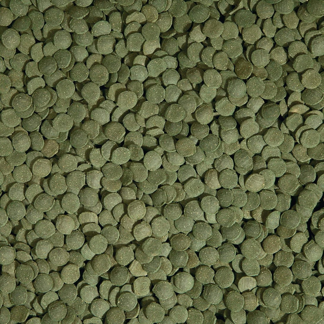 Tetra PlecoWafers Fish Food for Algae Eaters, 3.03 oz