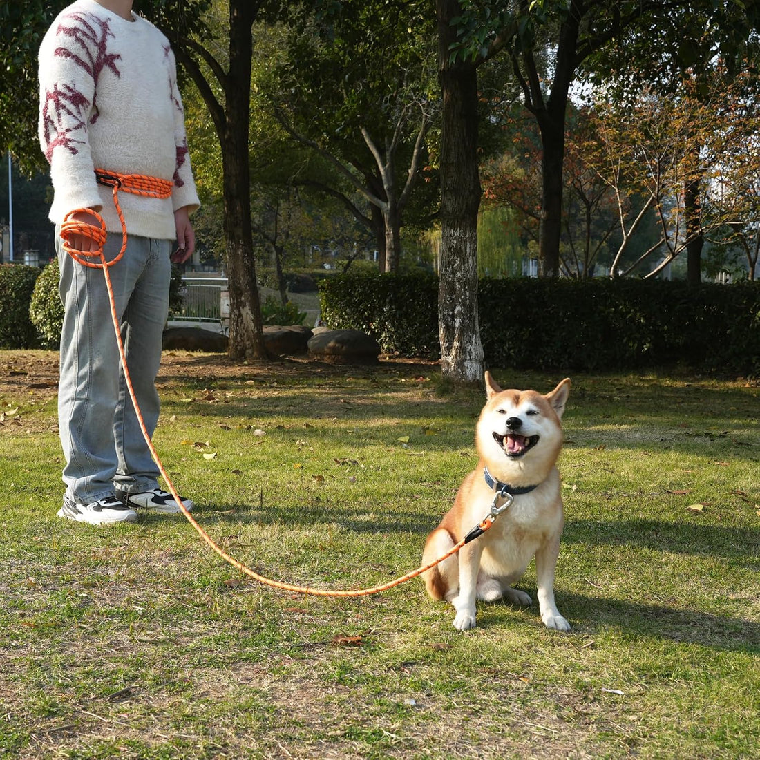 ZALER Long Dog Leash, 50 feet 30ft 20ft 15ft 10ft Dog Training Lead