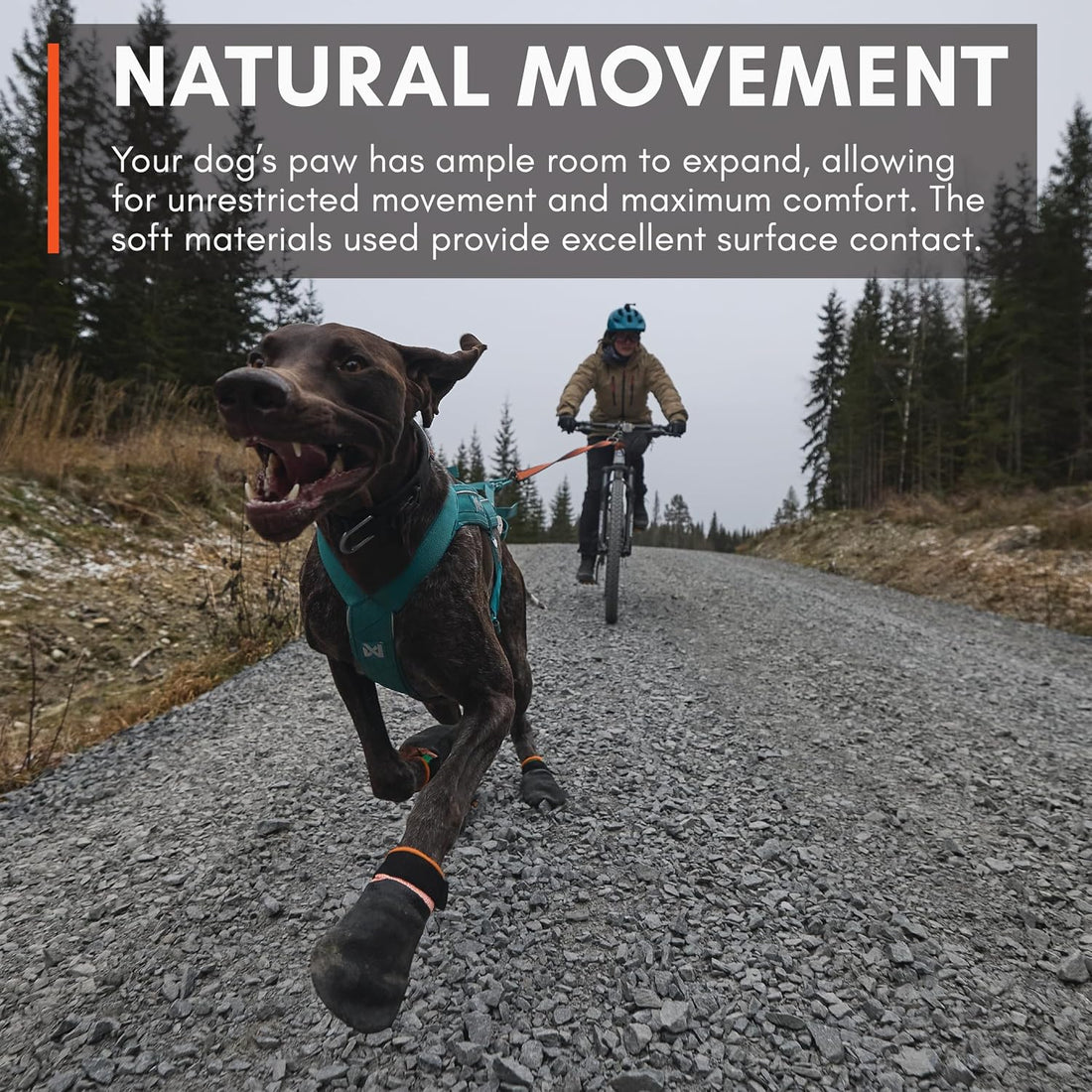 Non-stop Dogwear Dog Boots for Hot Pavement, Paw Protectors, 4-Pack
