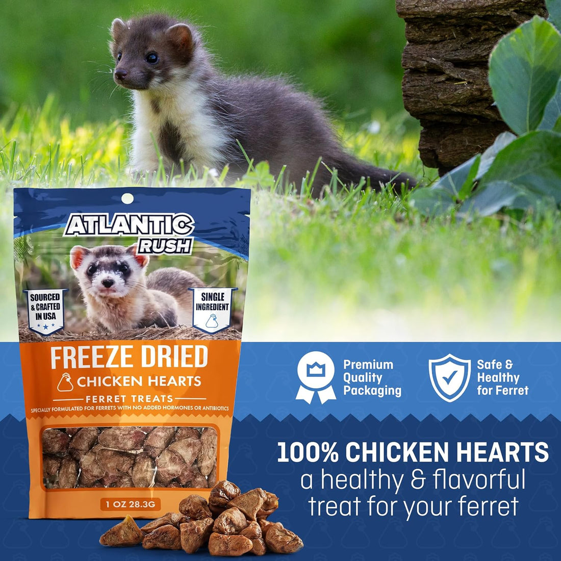 Freeze Dried Small Pet Treats - Resealable Bag of Treats for Ferrets