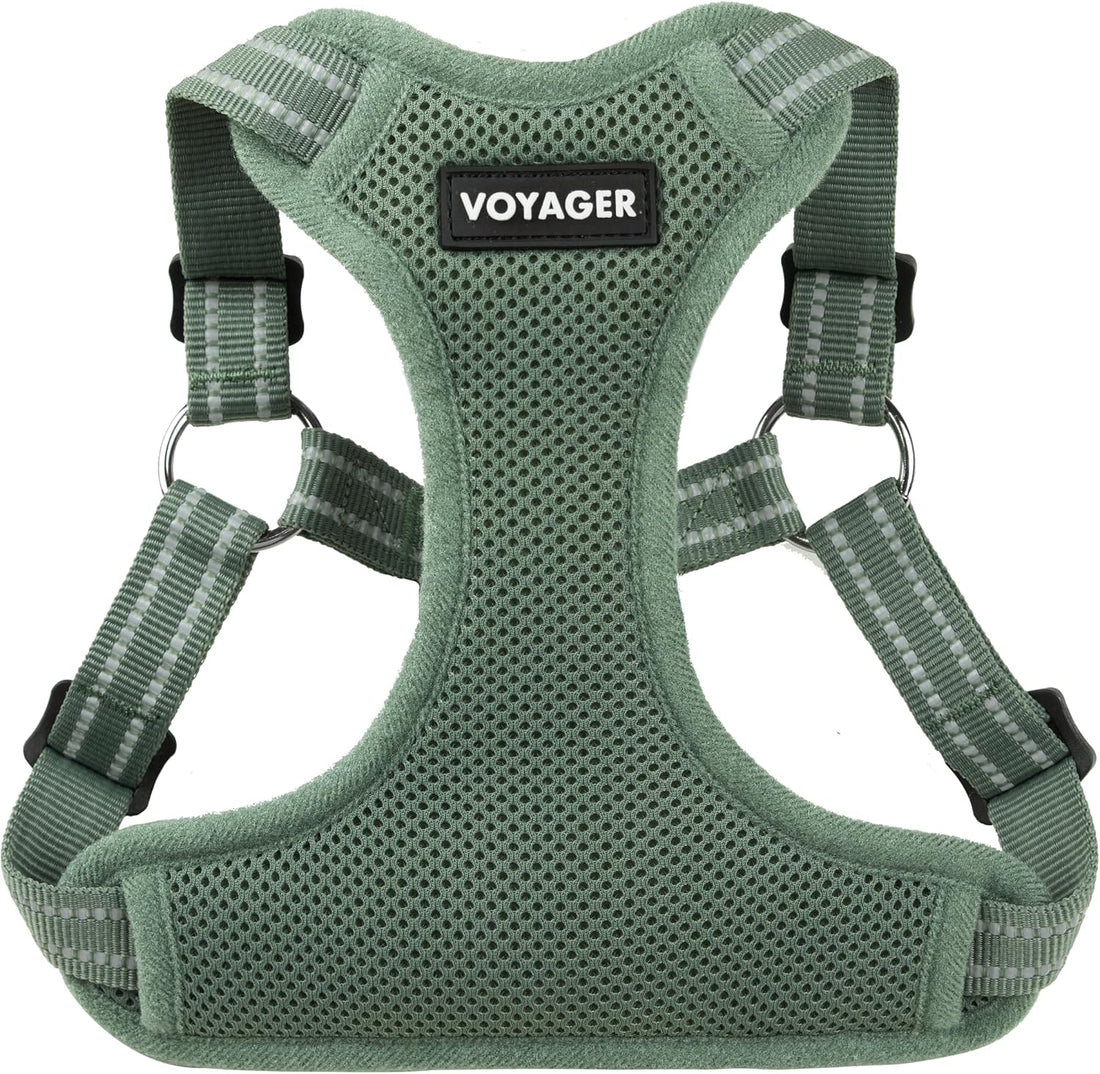 Voyager Step-in Flex Adjustable Dog Harness - Moss Green, Medium