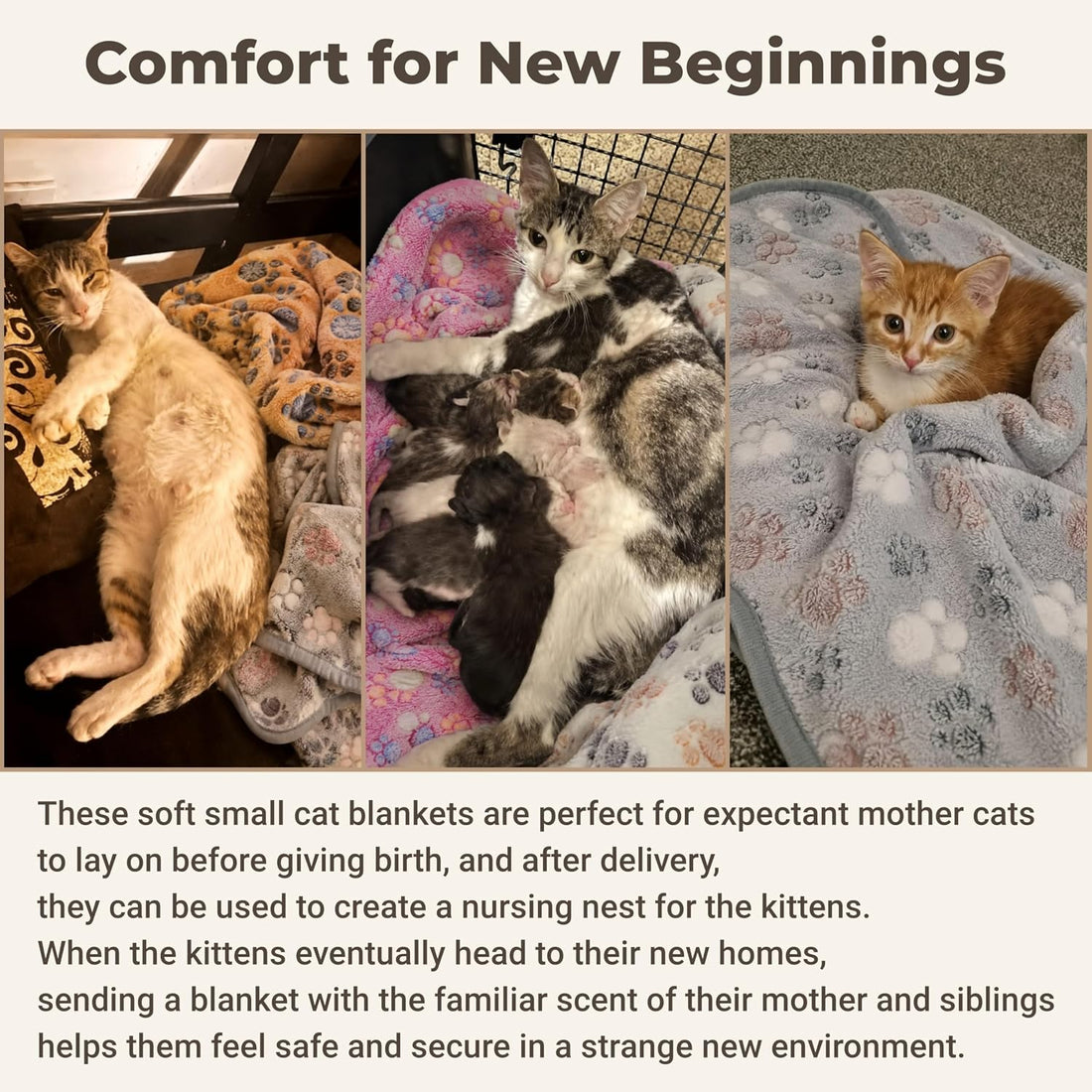 1 Pack 4 Kitten Blankets for Indoor Kittens