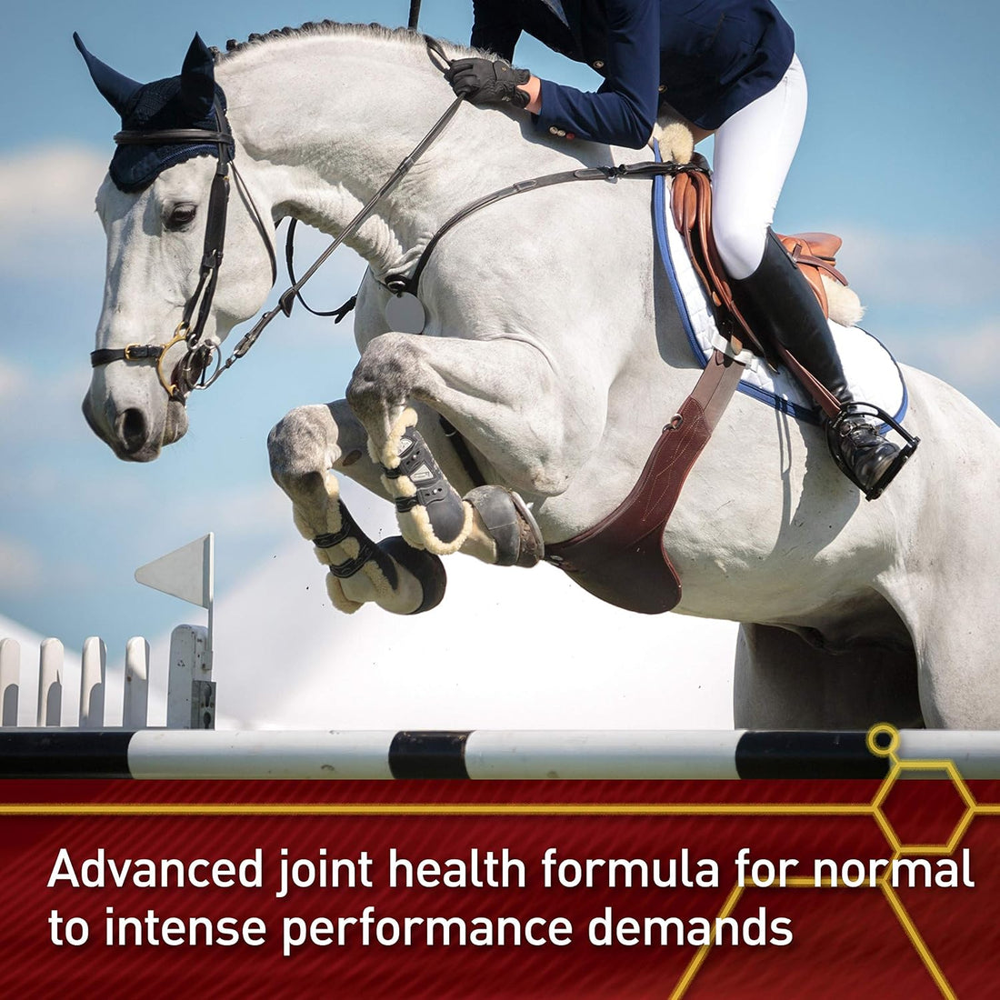 Vita Flex Pro Equinyl Combo Joint Horse Joint Supplement