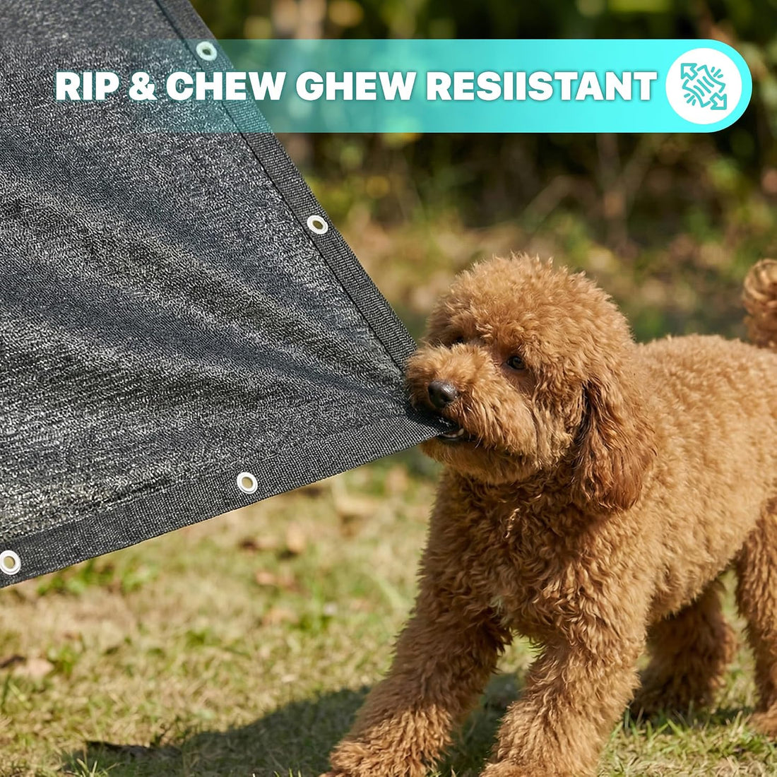 Royal Shade 4' x 5' Black Dog Kennel Shade Cover