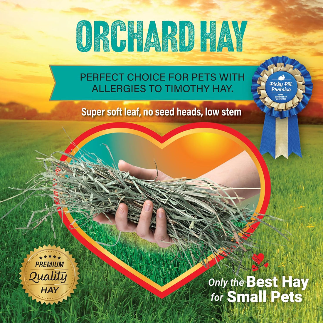 Small Pet Select Orchard Grass Hay Pet Food for Rabbits, Guinea Pigs