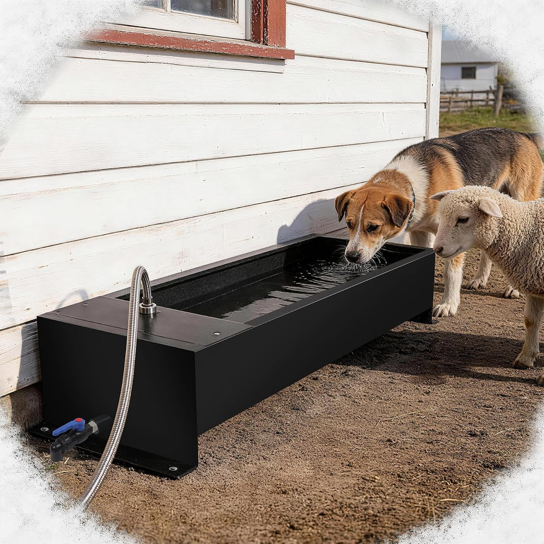 12 Gal Stainless Steel Livestock Water Trough Automatic Waterer