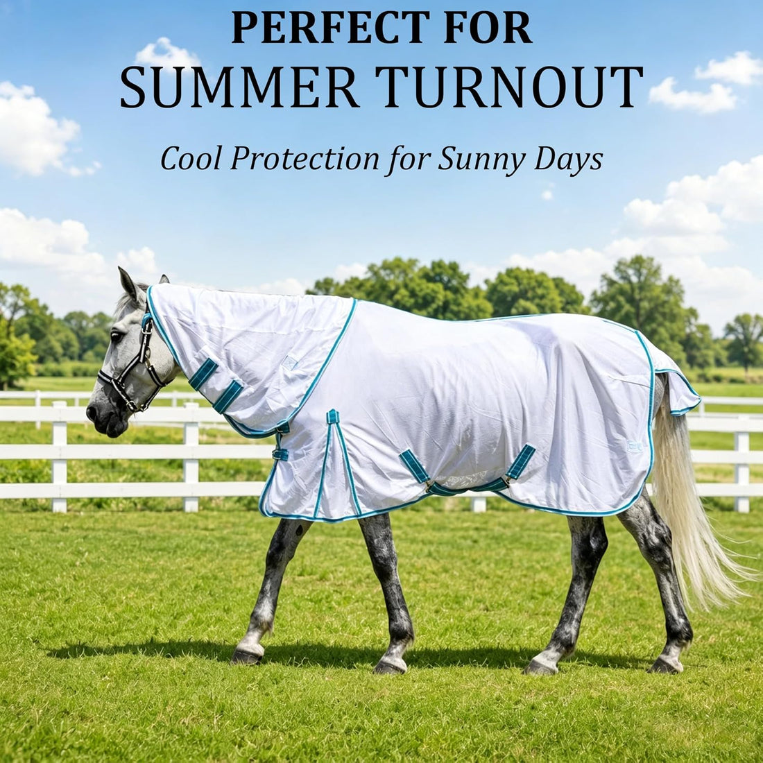 Horse Fly Sheet with Neck, Open Weave Mesh for Hot Weather