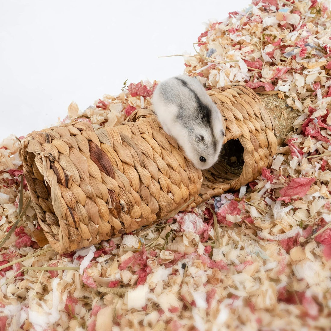 Niteangel Creative & Composable Hamster Tunnel
