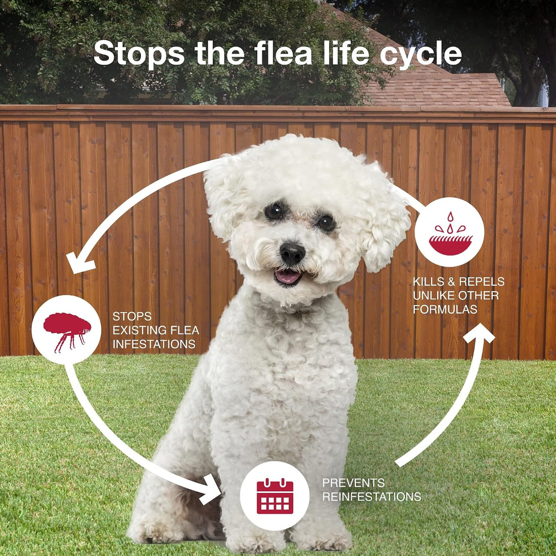 K9 Advantix II Small Dog Vet-Recommended Flea