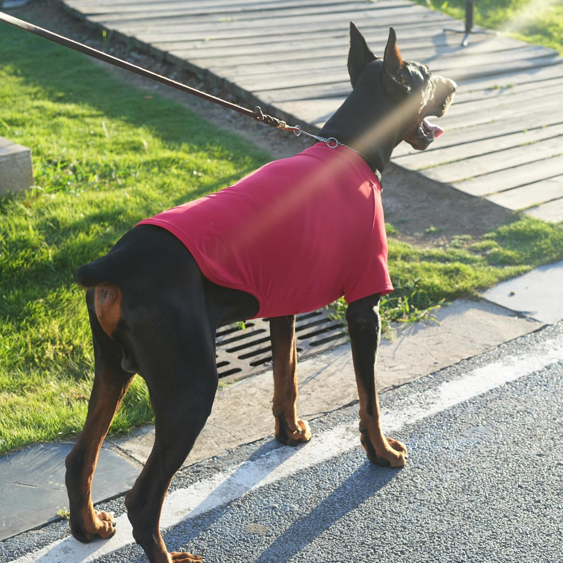Premium Yoga-Fabric Dog T-Shirt – Breathable, Stretchy