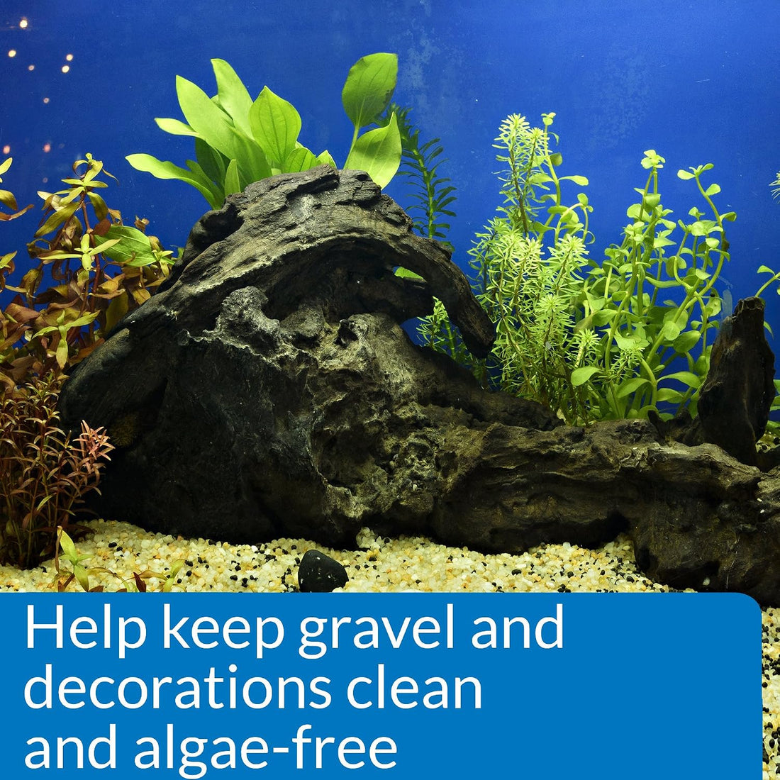 API STRESS ZYME Freshwater and Saltwater Aquarium Cleaning Solution
