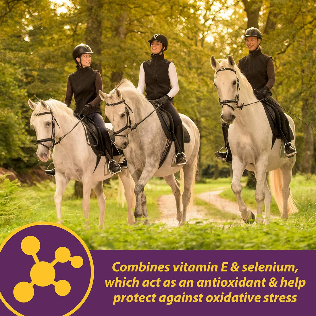 Horse Health Vita E & Selenium Crumbles Vitamin Supplement