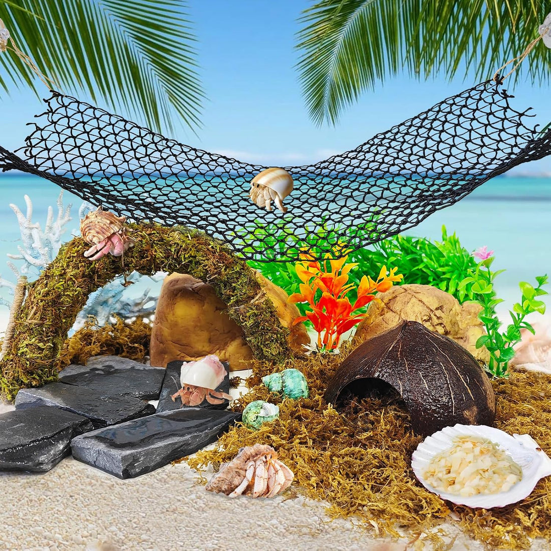 8PCS Hermit Crab Accessories Climbing Toys Hammock & Coconut Shell