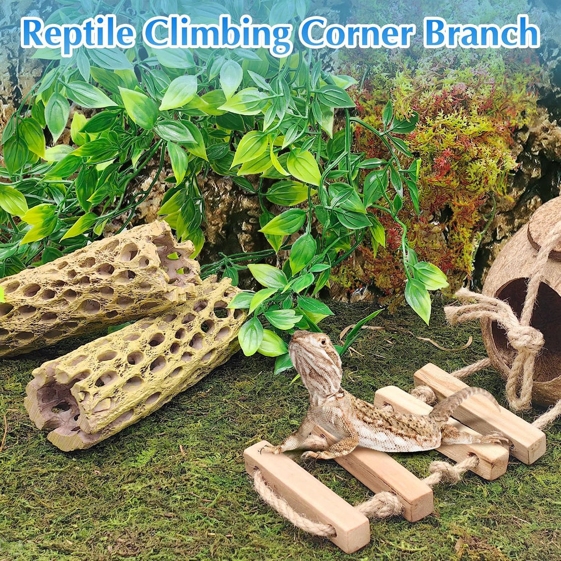 kathson 6" Resin Cholla Wood, Aquarium Shrimp Hideout (3PCS)