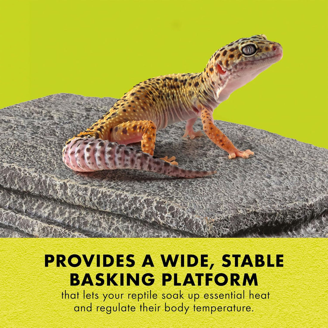Zilla Herp Hotel Naturalistic Hide, Bearded Dragon Basking Platform