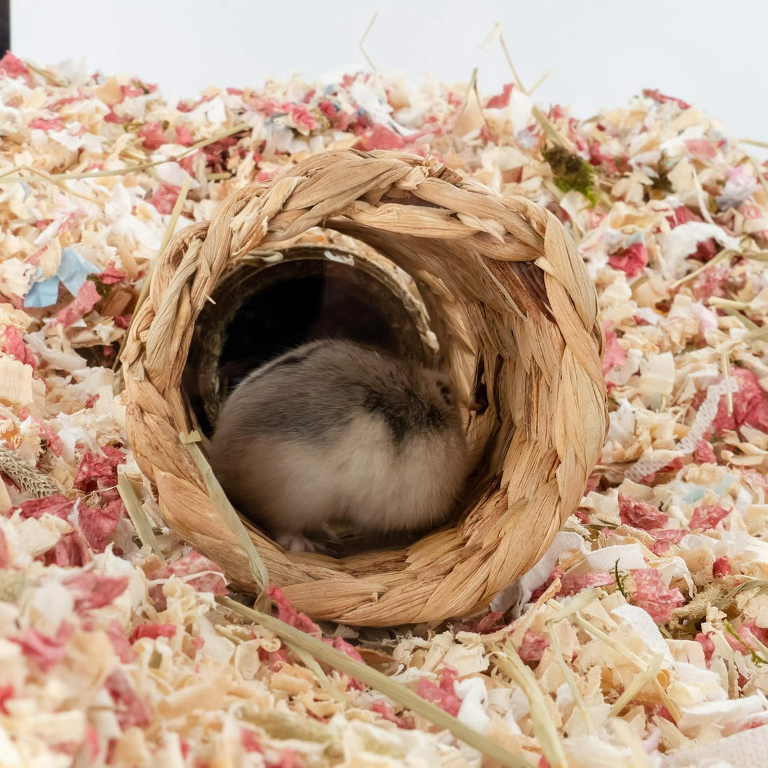 Niteangel Creative & Composable Hamster Tunnel